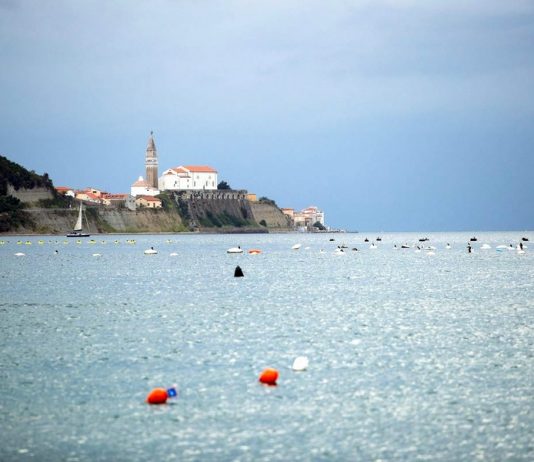 Hrvati širijo svoja školjčišča v Piranskem zalivu