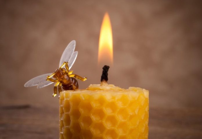 shutterstock_140072197jpg_bigimage
