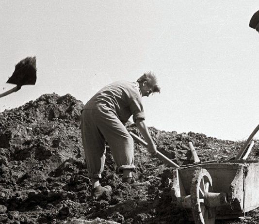 Delovne brigade Jugoslavije – suženjska delovna sila komunistov