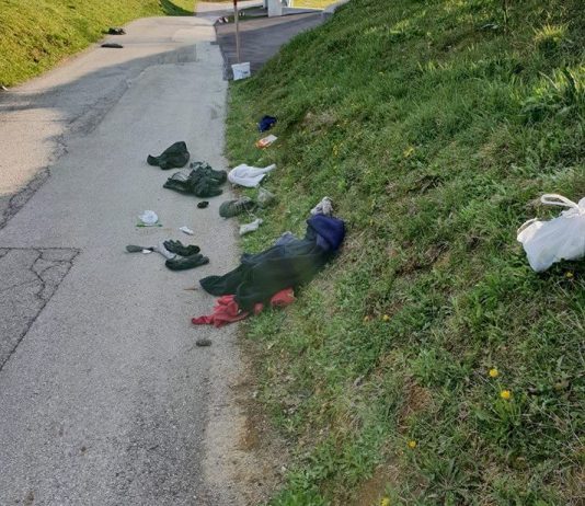 Župan Ilirske Bistrice: ” V odvrženih gatah so se zaredili črvi, divjim prašičom je to okusna hrana, mi pa potem jemo zelo dobre divjačinske klobase!”