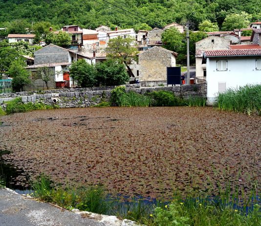 KOPER: Ilegalni migranti potrkali na vrata domačinov, ne boste verjeli, kaj so prosili …
