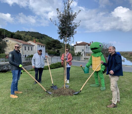 Ob dnevu Zemlje v Portorožu in Strunjanu zasadili pet dreves