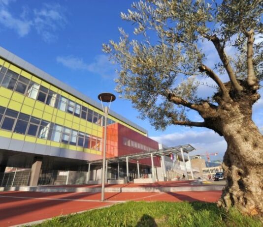 Koprska občina in osnovna šola tudi letos organizirata počitniško varstvo