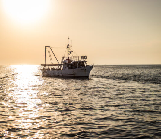 Zlatoperka bo šest dni v tednu povezovala Piran, Izolo, Koper in Ankaran