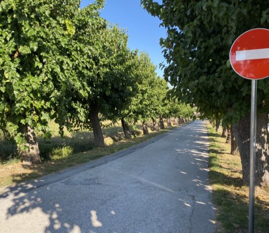 Markova ulica pri bertoškem pokopališču po dveh smrtnih žrtvah motoristov v zadnjih petih letih končno enosmerna