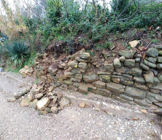 V Fiesi začeli z obnovo zidu